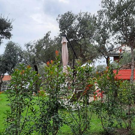 Poggio Degli Ulivi Lejlighed Genova Eksteriør billede